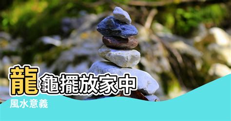 陸龜風水|龜五行與健康指南